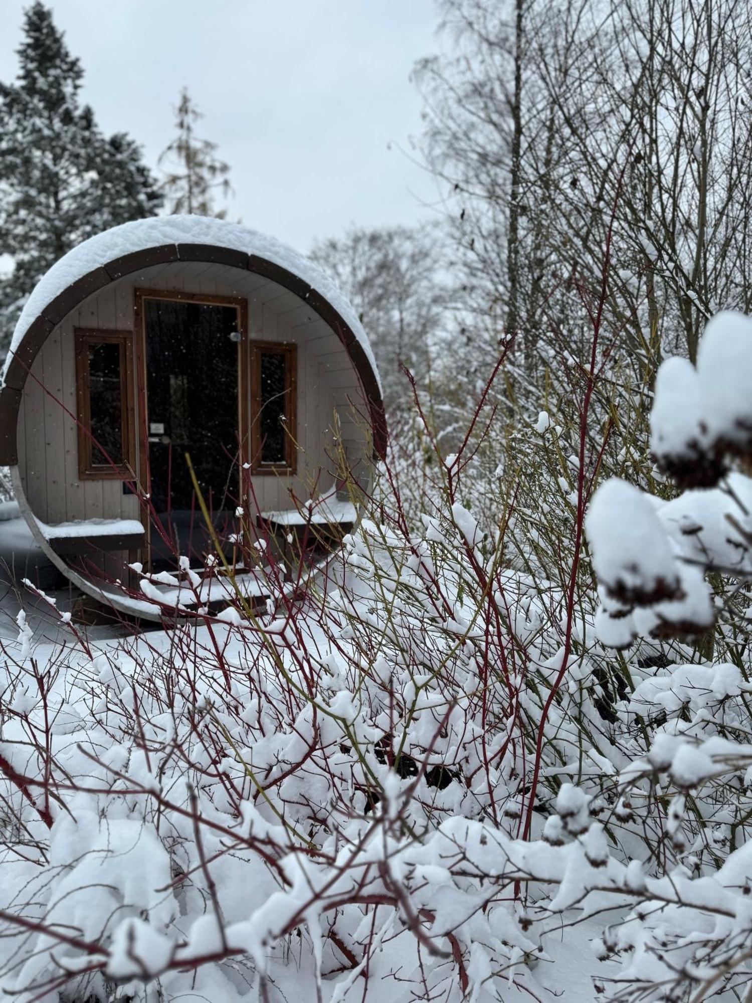 Villa Bergtraum Braunlage Im Harz, 17 Gaeste, Sauna, Pool Exterior foto